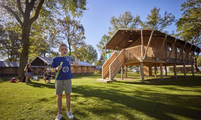 Glamping Tent Superior 11